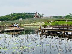 -大塘金香草谷