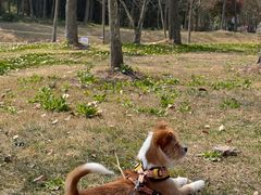 -上海海湾国家森林公园