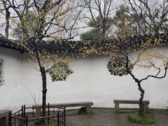 -沧浪亭