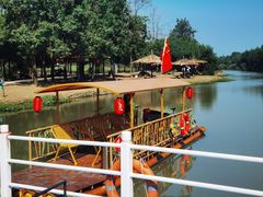 -合肥滨湖国家森林公园