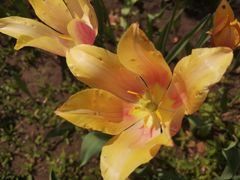 -长春公园(普阳街道)