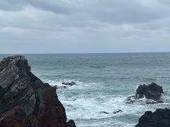 -涉地可支