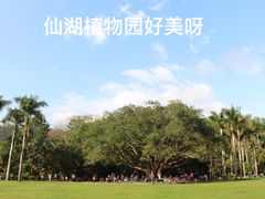 -梧桐山风景名胜区