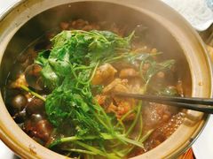 招牌必点-田螺鸡煲-食爺炭炉鸡煲·烧烤