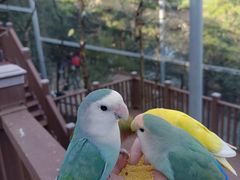 -燕塞湖鸟语林景区
