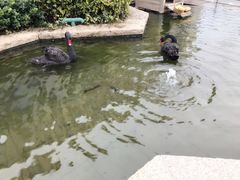 -南京圣和府邸豪华精选酒店