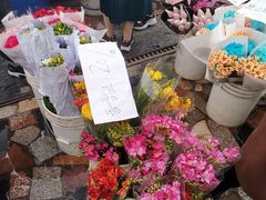 -秦美花卉(天朗·莱茵小城2期店)
