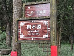 -中国科学院西双版纳热带植物园