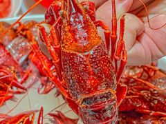 -香满锅老北京羊蝎子火锅·家常菜(新街口店)