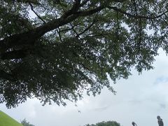 -雕刻之森美术馆