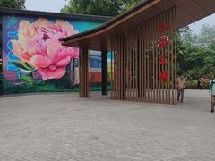 -洛阳市牡丹公园