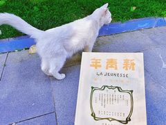 -北京鲁迅博物馆(北京新文化运动纪念馆鲁博馆区)