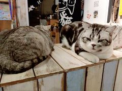 -小时光咖啡馆(开森度假森林店)