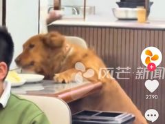 -奉天蚨祥饺子馆