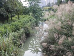 -广西壮族自治区药用植物园
