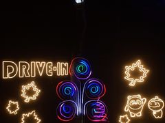 -枫花园汽车电影院(朝阳公园店)