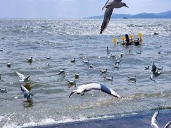 -滇池海埂公园