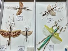 -烟台市博物馆