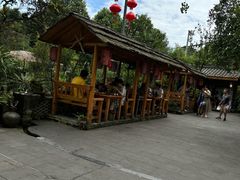 -青城甲(青城山店)