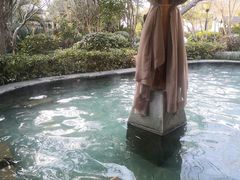 -苏州湾·王焰温泉