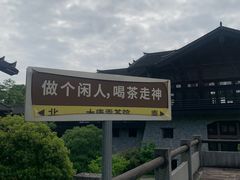 -大唐贡茶院