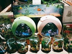 -酷乐潮玩(城西银泰城店)