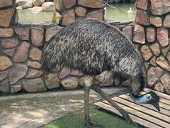 -J Create城市露营咖啡·简餐·宠物(上海动物园店)