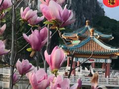 -星湖旅游景区七星岩