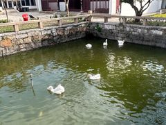 -苏州文庙(姑苏区)