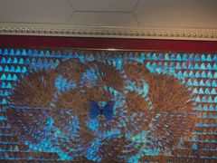 -上海昆虫博物馆