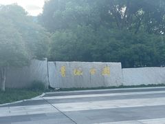 -青枫公园