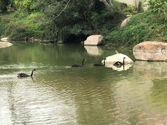 -厦门悦华酒店