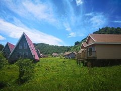 -关山草原