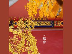 -故宫博物院(故宫)