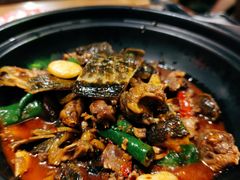 口味甲鱼-湘里乡亲甲王二老店