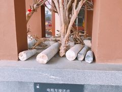 -英德宝晶宫天鹅湖茶语温泉