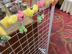-良友·地标海鲜青岛菜(五四广场店)