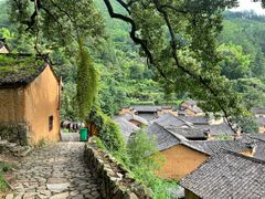 -杨家堂村
