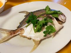 -桂园白粥·潮汕老味道