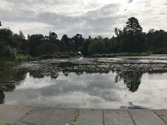 -墨尔本皇家植物园