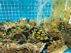 -旺角小渔村(二马路店)