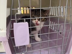 -圣宠动物医院·犬猫专科·影像中心·外科中心