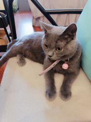 -Miss·A日式美甲美睫