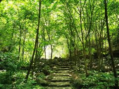 -孤山寨风景区
