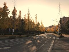 -浙江农林大学(东湖校区)