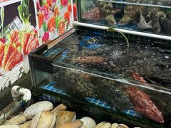 -板桥海鲜广场(文明东店)