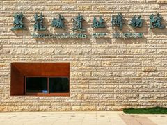 -盘龙城遗址博物院