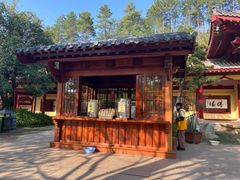 -庐山风景名胜区-东林大佛