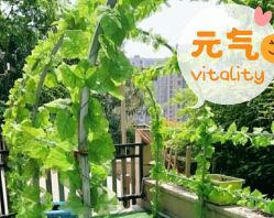 -可可天空农场(中大店)