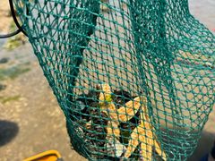 -东戴河风景区-止锚湾